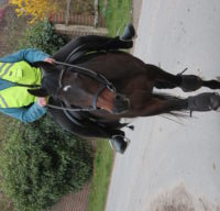 Sue Long wearing a yellow high vis jacket riding her horse Tia