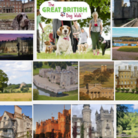 Mosaic of venues across the UK hosting dog walks in the UK. Reads: Great British Dogs Walk,