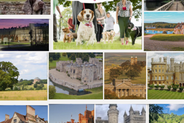 Mosaic of venues across the UK hosting dog walks in the UK. Reads: Great British Dogs Walk,