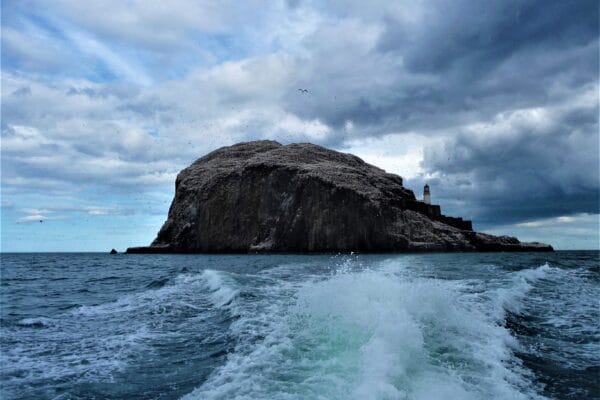 Landscape Image of Bass Rock in East Lothian ttaken from the point of view from a boat.